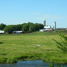 Around the Farm Gallery images