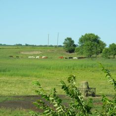 Around the Farm Gallery images