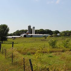 Around the Farm Gallery images