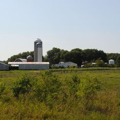 Around the Farm Gallery images