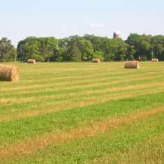 Around the Farm Gallery images