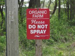 Organic Farm Sign